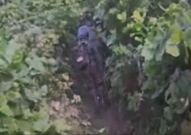 DMZ 사고 '미폭발 지뢰 목격' 증언<br>현장조사서 스모킹건 찾을까