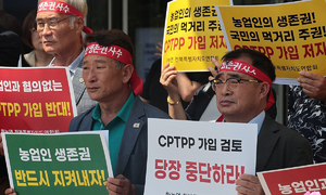 CPTPP 가입시 실질GDP 0.38%p↑…농림수산업은 8500억 타격