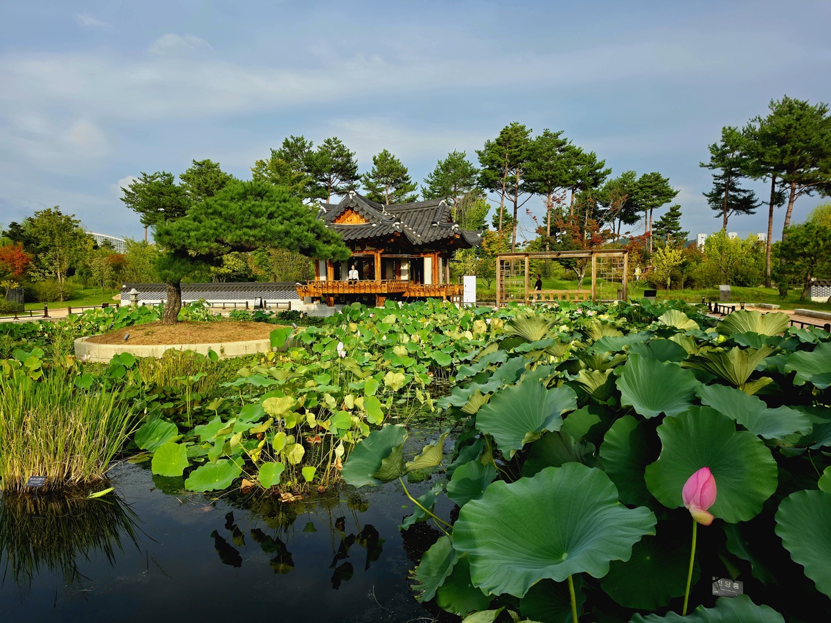 세종국립수목원 한국전통정원.