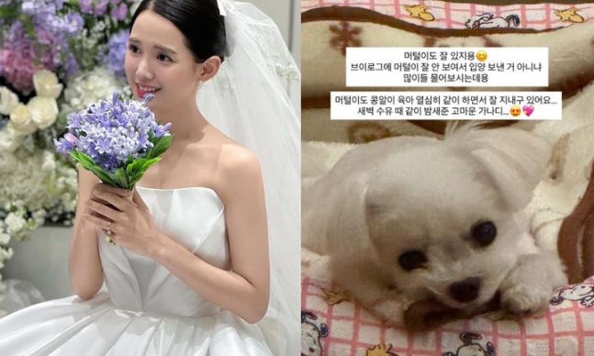 사진 이미지