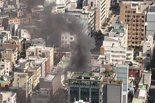 독자 제공. 연합뉴스