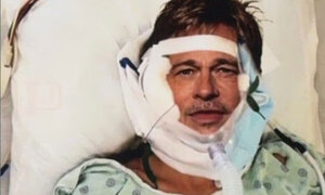 또 브래드 피트 '로맨스 스캠'…1억 넘는 돈 송금한 스위스 여성